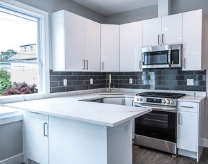 Contemporary White Kitchen